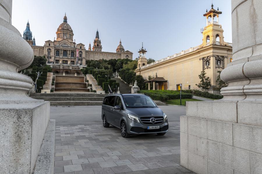  Mercedes-Benz V300 d Avantgarde (Br.447) 2019 года  (WW) (фото 23 из 42)